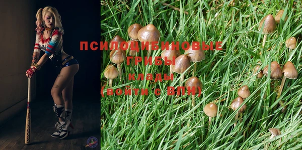 бошки Михайловка