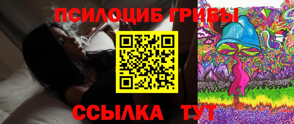 Галлюциногенные грибы прущие грибы Новокубанск