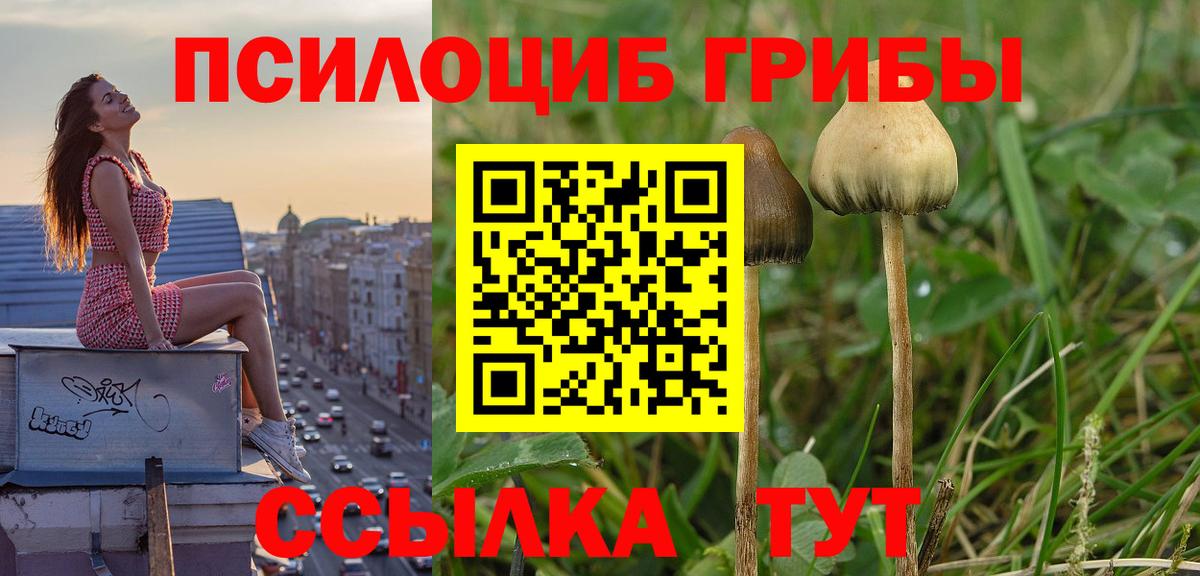 Новокубанск  Псилоцибиновые грибы GOLDEN TEACHER  цена   Галлюциногенные грибы Magic Shrooms  Вход с VPN 
